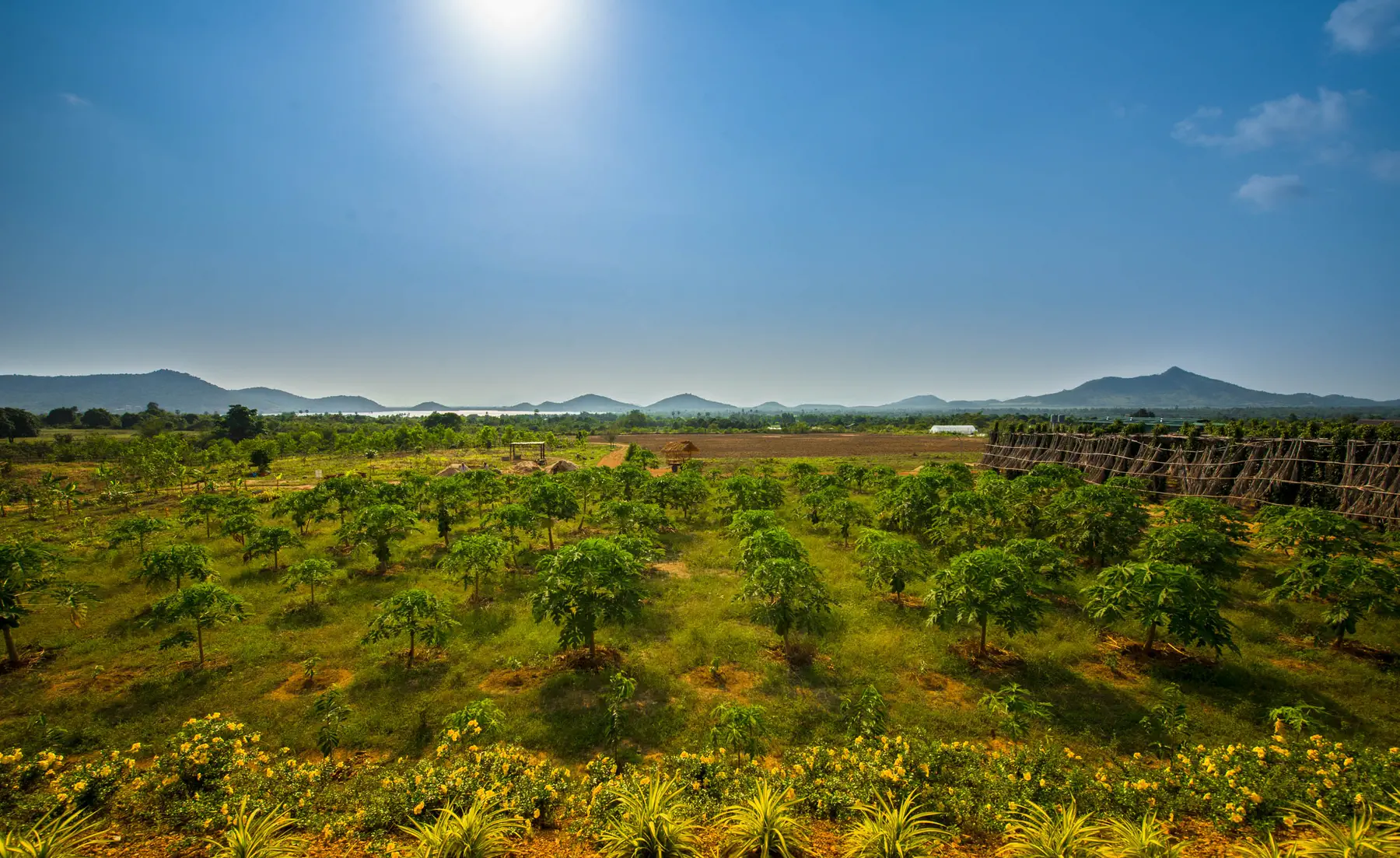 Campagne Kep Cambodge